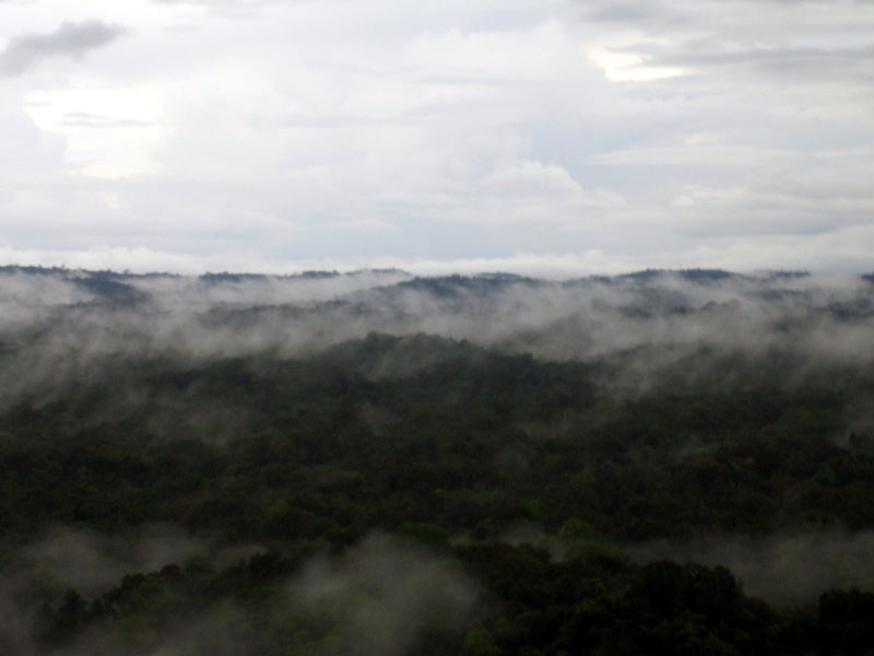 20060503-brazil.guyana-0251