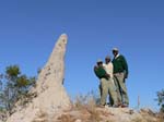20060624-p-guides.termite.mound-s026b