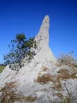 20060624-p-termite.mound-g022b